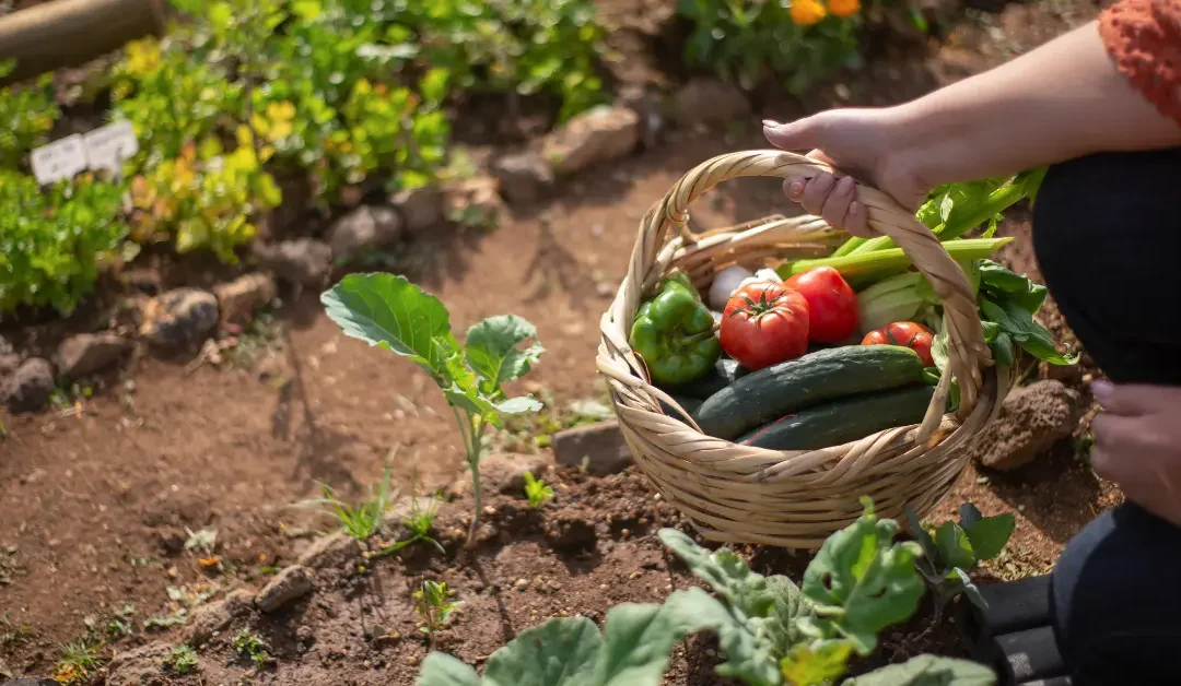 From Checklist to Cultivation: A Higher Way to Magnify Your Calling